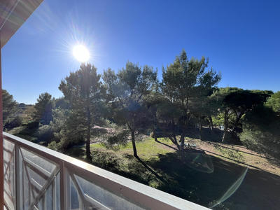 Appartement - 31 m² - 1 pièce