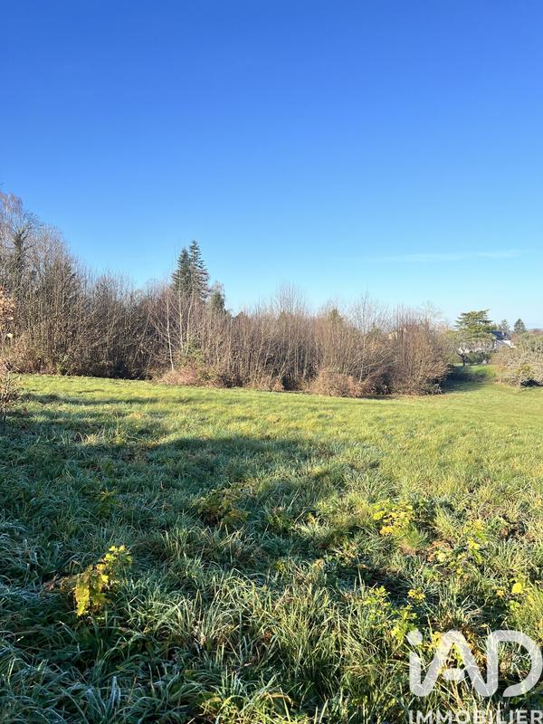 Terrain - 11 487 m²