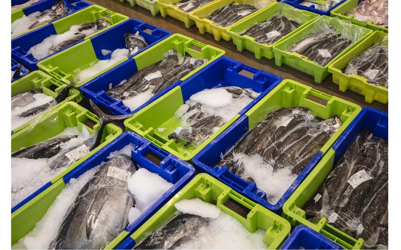 Visite Pays d’art et d’histoire : &quot;Le port de pêche et sa criée&quot;