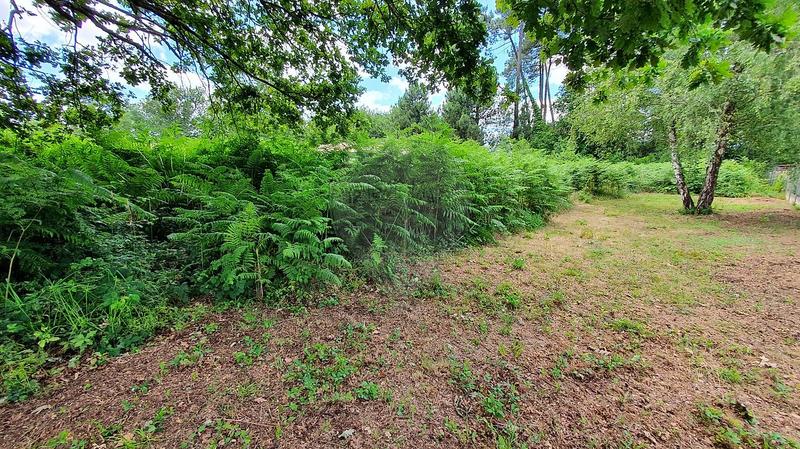 Terrain - 1 430 m²