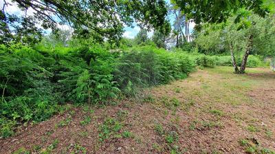 Terrain - 1 430 m²