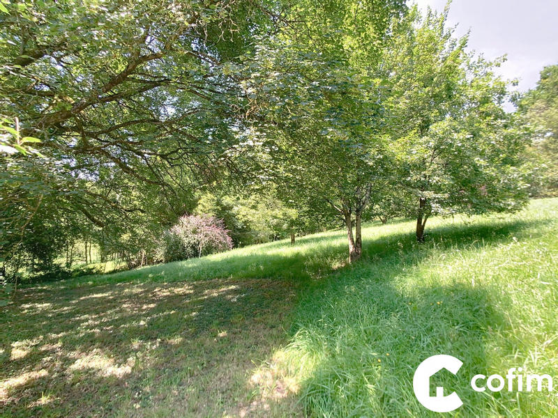 Maison ancienne - 98 m² - 5 pièces