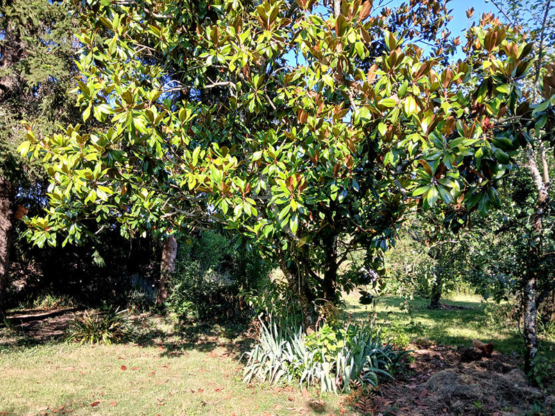 Maison - 140 m² - 4 pièces