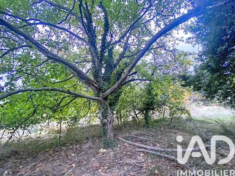 Terrain agricole - 2 430 m²