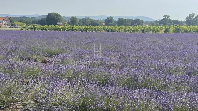 Propriété - 421 m² - 10 pièces