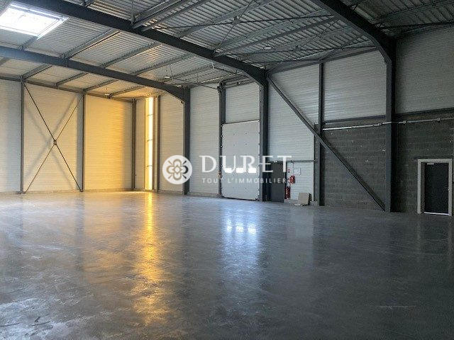 Local d'activités - 497 m²