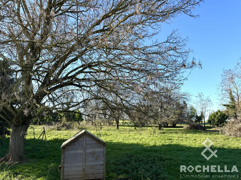 Maison ancienne - 140 m² - 5 pièces