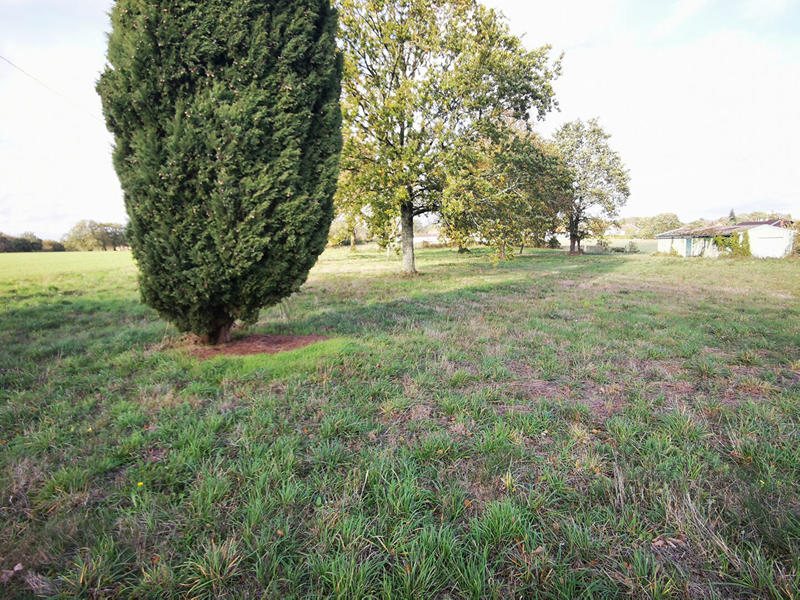 Maison - 30 m² - 2 pièces