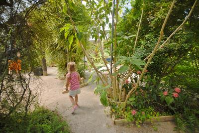 Le Tropique du Papillon