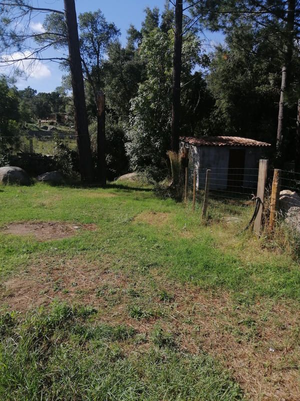 Appartement - 50 m² - 3 pièces