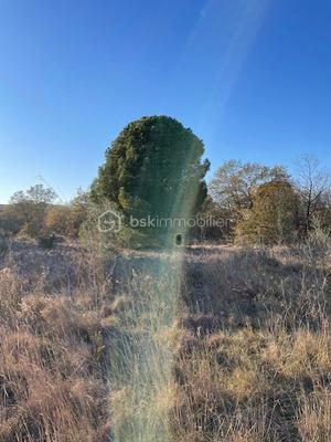 Terrain de loisirs - 2 279 m²