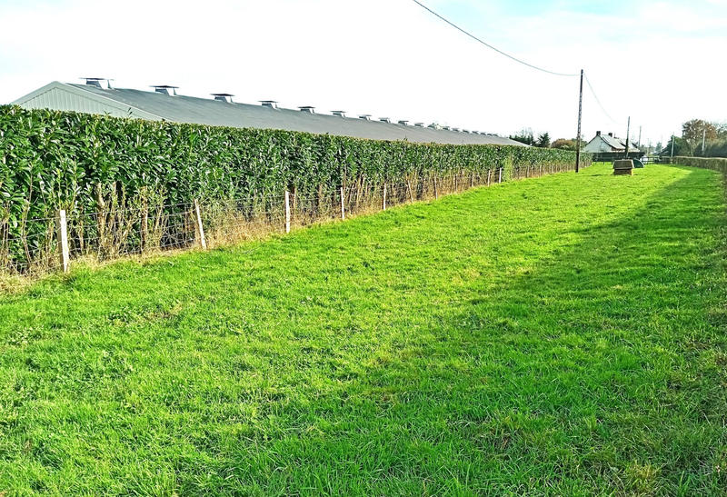 Terrain agricole - 170 000 m²
