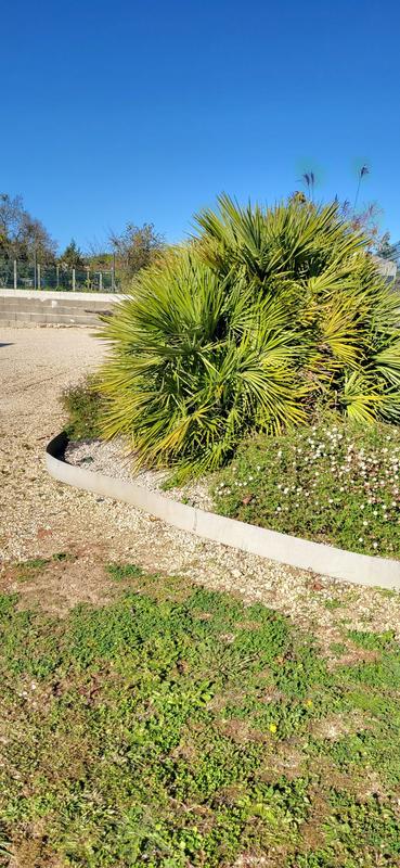 Maison traditionnelle - 166 m² - 6 pièces