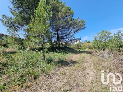 Terrain - 1 318 m²