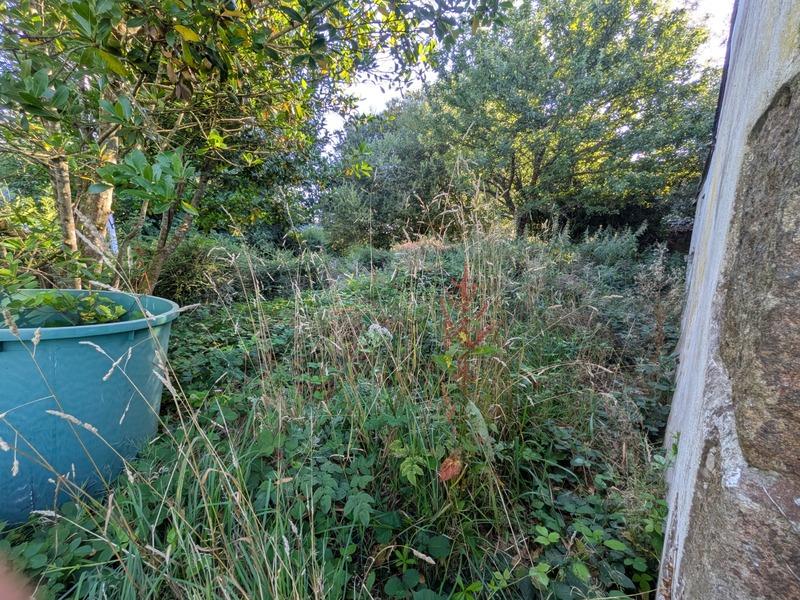 Maison de campagne - 55 m² - 2 pièces