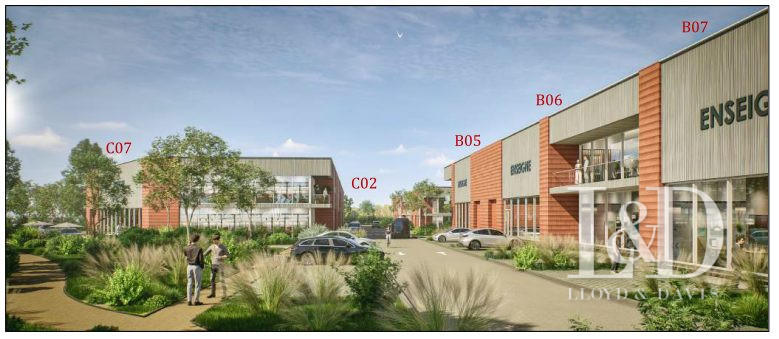 Local commercial - 534 m²