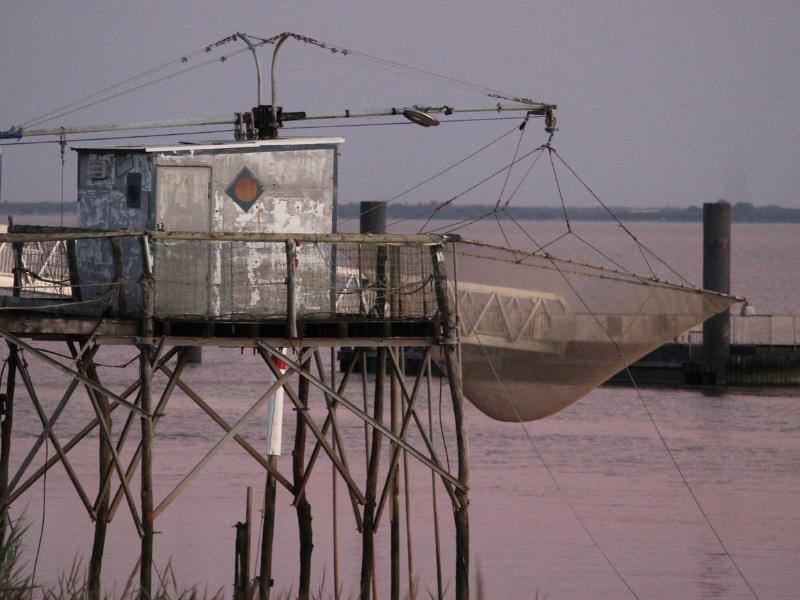 Croisière du dimanche sur l'estuaire à Terres d'Oiseaux