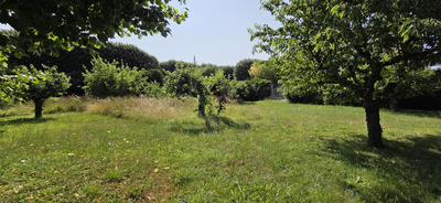 Propriété - 205 m² - 9 pièces