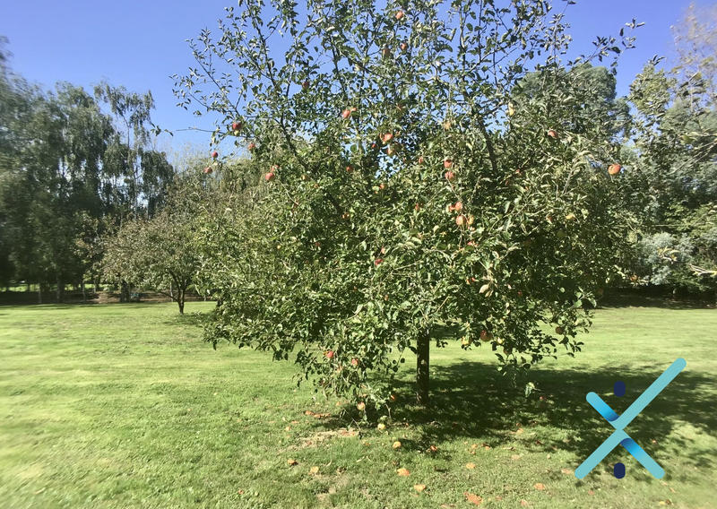 Maison - 190 m² - 6 pièces