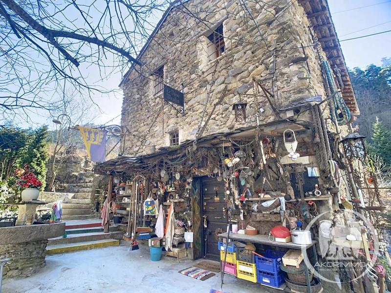 Moulin - 185 m² - 8 pièces