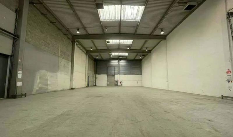 Local d'activité / Entrepôt - 1 251 m²