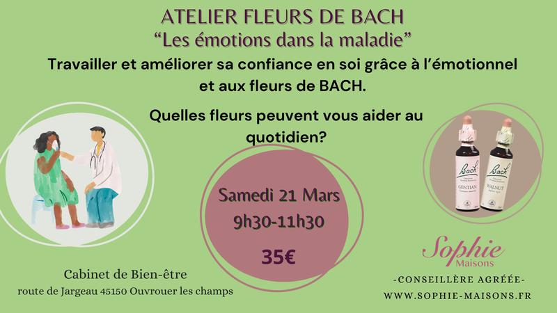 Atelier fleurs de Bach "les émotions dans la maladie"