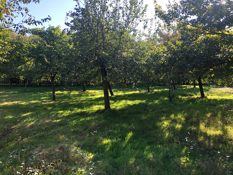 Maison - 170 m² - 5 pièces