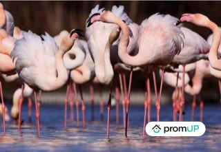 Appartement - 63 m² - 2 pièces