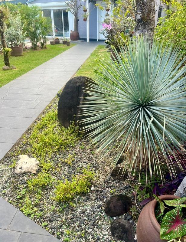 Villa - 236 m² - 6 pièces