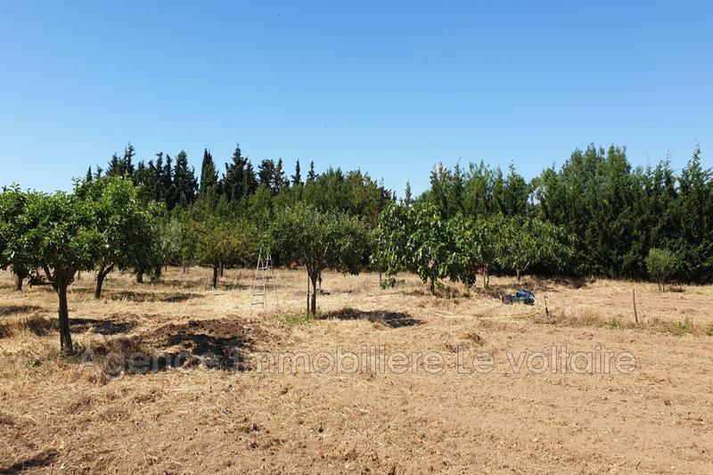 Terrain agricole - 3 130 m²