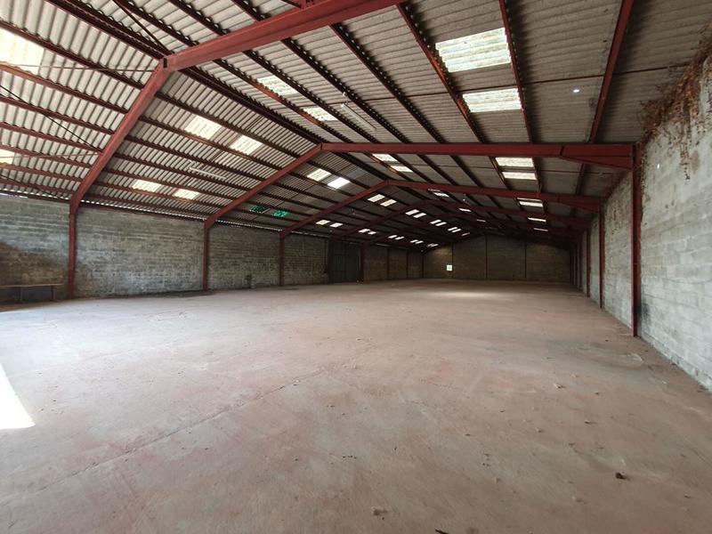 Entrepôt - 1 000 m²