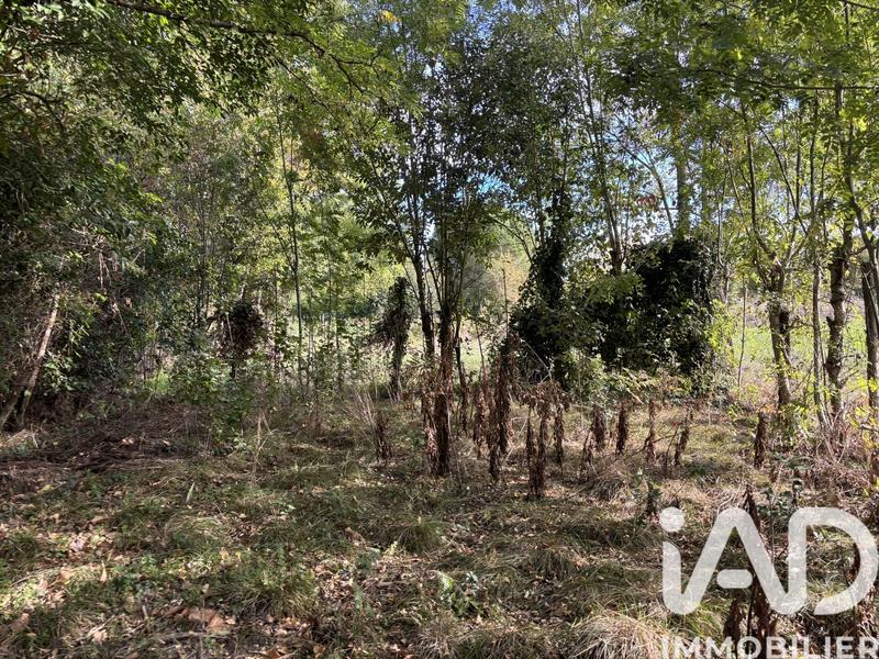 Maison de campagne - 83 m² - 5 pièces