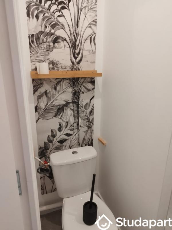 Appartement - 17 m² - 1 pièce