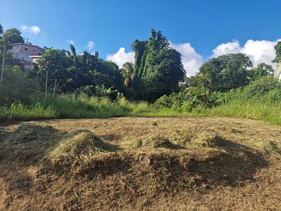 Terrain constructible - 517 m²