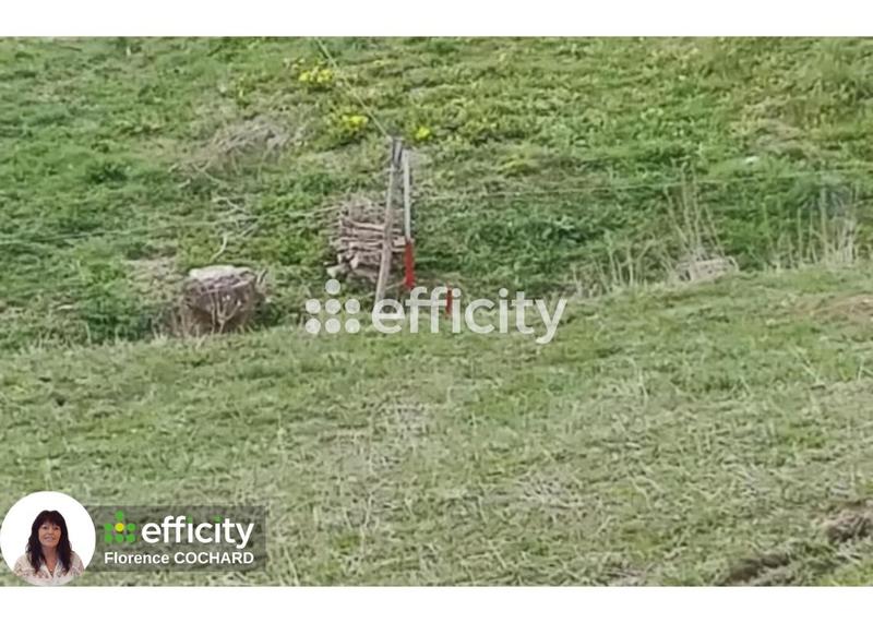 Terrain constructible - 1 249 m²