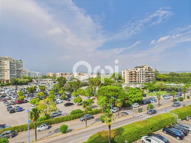 Appartement - 36 m² - 1 pièce