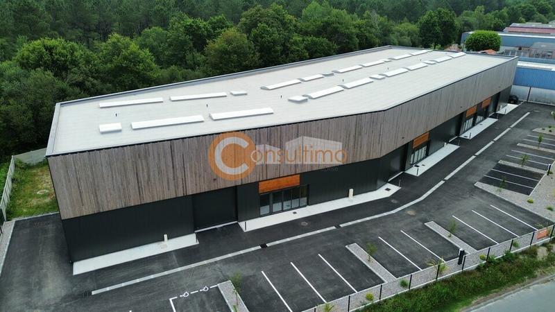 Local d'activité / Entrepôt - 1 662 m²
