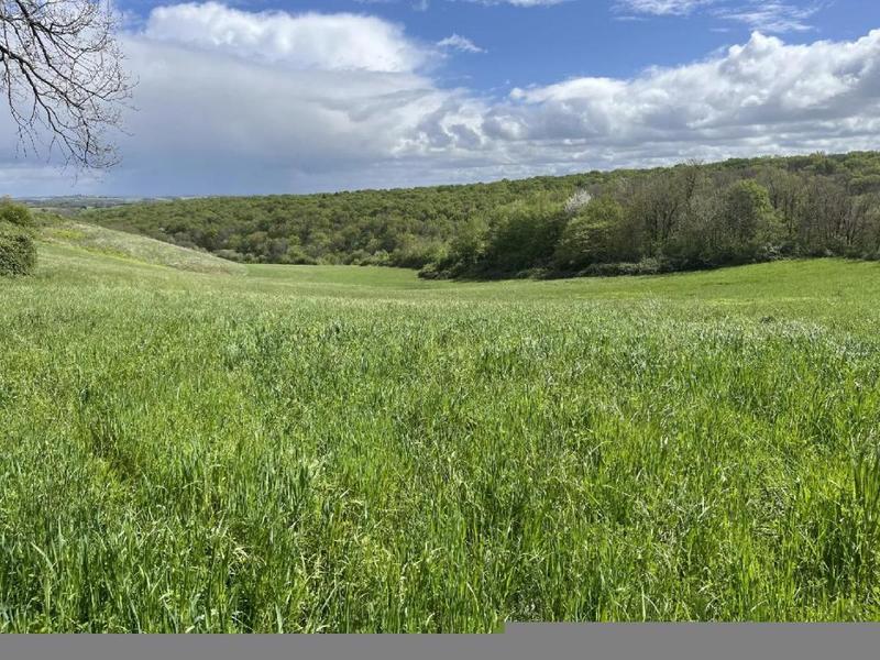 Terrain - 60 000 m²