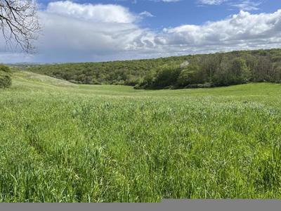 Terrain - 60 000 m²