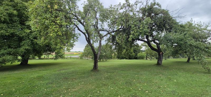 Maison - 79 m² - 6 pièces