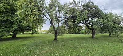 Maison - 79 m² - 6 pièces