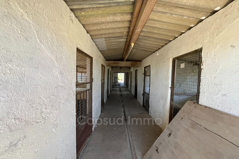 Maison - 124 m² - 5 pièces