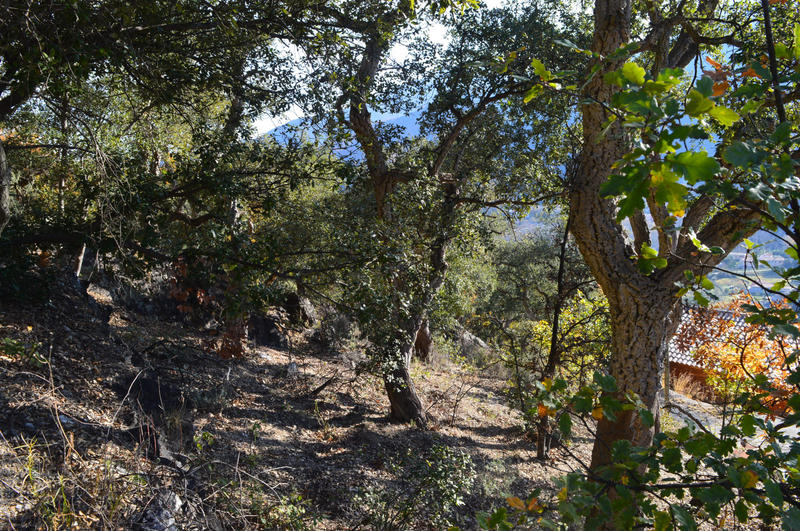 Terrain - 18 305 m²