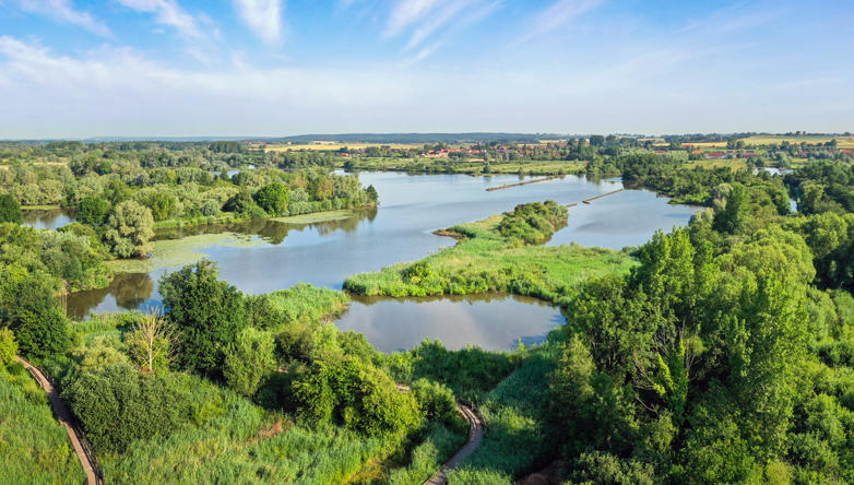 Marais Audomarois - les oiseaux nicheurs
