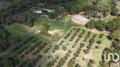 Maison - 164 m² - 6 pièces