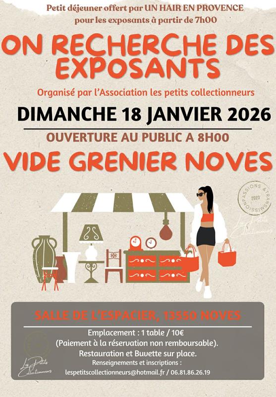 Vide grenier des Petits collectionneurs