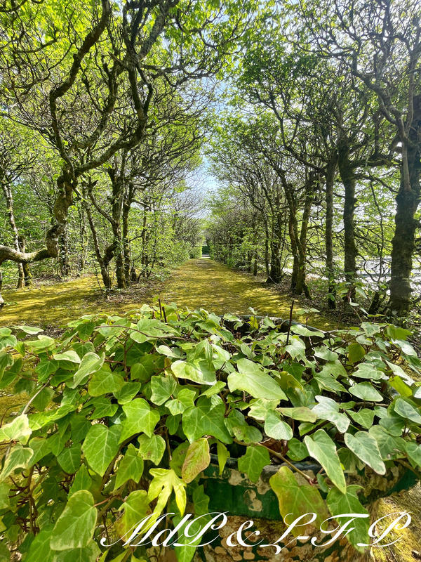 Maison de maîtres - 485 m² - 10 pièces