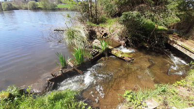 Terrain - 73 256 m²