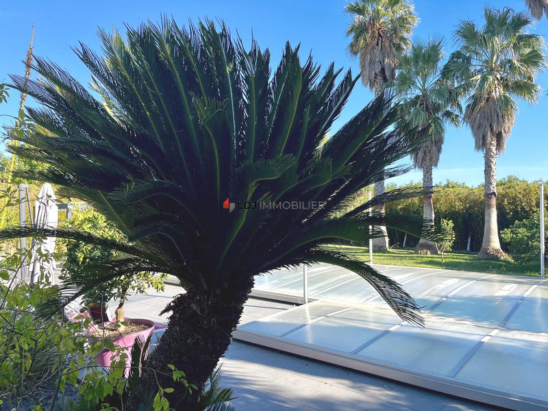 Maison contemporaine - 218 m² - 6 pièces