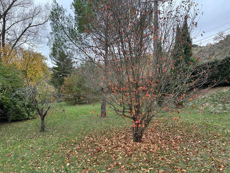 Maison - 131 m² - 295 pièces